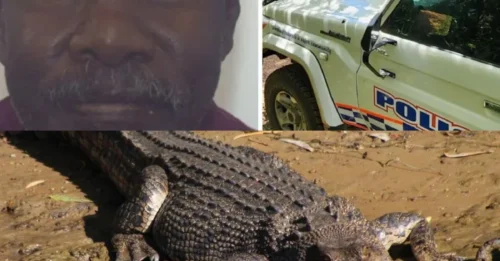 Se encontraron restos humanos dentro de un hombre cocodrilo durante la búsqueda de un hombre desaparecido durante más de una semana en aguas infestadas de cocodrilos.