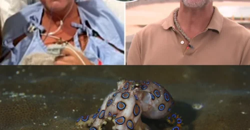 BEACH BLITZ: The 43-year-old experienced four bouts of paralysis after being bitten by a tentacled animal at a popular Sydney beach.