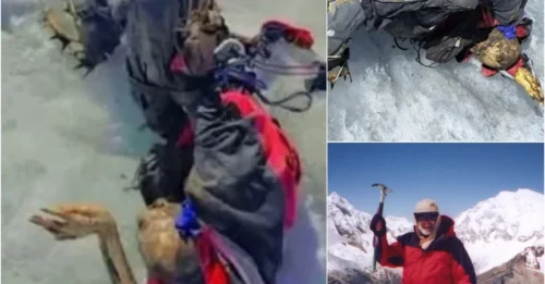 22 YEARS FROZEN IN TIME: Mummified American Climber Found Perfectly Preserved — Still Wearing His Boots and Harness on Peru's 'Ghost Mountain'