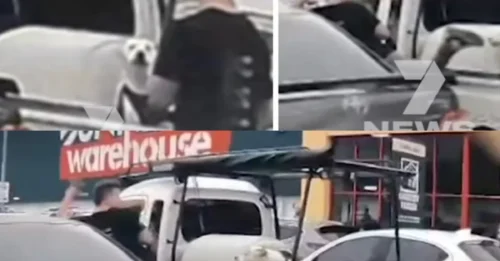 CAR PARK CRUELTY CAUGHT ON CAMERA! Shocking moment man commits vile act against dog before outrage erupts online.