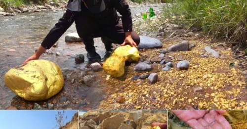 It feels great when you discover something that many others crave! Hidden along this little-known river could be a vast gold and diamond reserve that few have ever dared to search for…