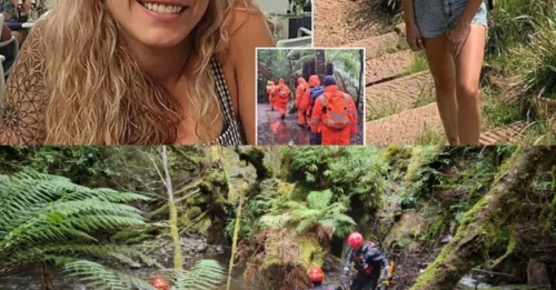 TURISTA TRÁGICO: Hallan restos humanos en la búsqueda de un mochilero desaparecido de 31 años que desapareció hace tres años mientras su familia 