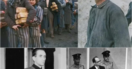 The HORRIFYING Execution of the Evil Doctor of Belsen: The CHILLING Justification of Dr. Fritz Klein — Punished by Albert Pierrepoint for Sending Thousands to the Gas Chambers