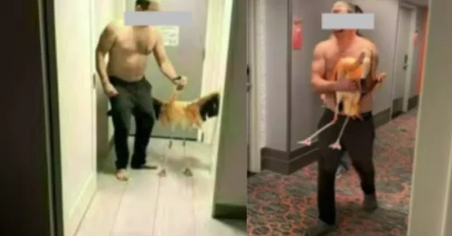 Tourist Stole Las Vegas Hotel Flamingo Before Laughing as He ‘Tortured’ Bird in Disturbing Moment That Left Witnesses Speechless