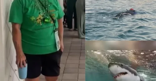 Mujer muere después de que un tiburón le arrancara el brazo en las Islas Vírgenes de EE. UU