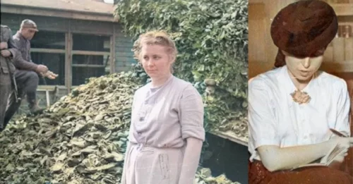 THE “BEAUTIFUL GHOST” OF THE STUTTHOF HELL SCREAMED AND WEPT BEFORE PAYING FOR HER CRIMES: The Public Execution of “Mad Jenny” – The Shocking Final Chapter of Jenny-Wanda Barkmann’s Brutal Reign at Stutthof That Left Witnesses Stunned 7
