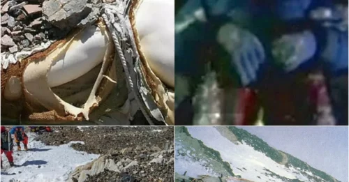 The 7 Most DISTURBING Corpses on Everest: From the 1924 Explorer Found Preserved in Tweed to the German Woman Who Stared Into Eternity