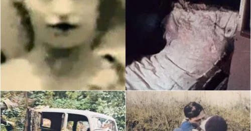 THE PHOTO of the Moment Bonnie and Clyde Were Riddled with Bullets STUNNED America: The Chilling Instant America's Most Infamous Outlaws Took Their Last Breath