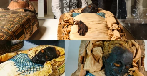 COLD CASE CLOSED: The 2,600-Year-Old Mummy Was MURDERED! Experts Stunned by the Brutal Truth Behind 'Takabuti's' Final Moments.