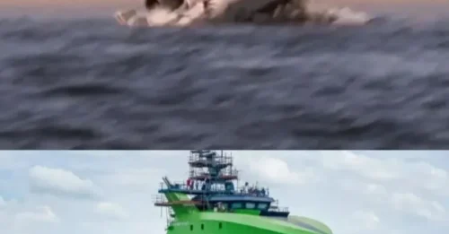 MISTERIO DEL VUELO: Nueva e importante actualización en la búsqueda desesperada de £50 millones del vuelo MH370 de Malaysia Airlines desaparecido 12 años después de la desaparición del avión.