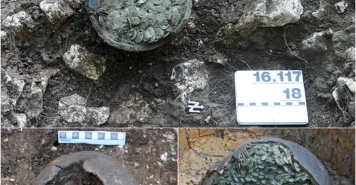Swiss Metal Detectorist Uncovers Impressive Hoard of 1,290 4th Century Roman Coins – A Stunning Discovery Hidden Beneath the Soil for Over 1,600 Years