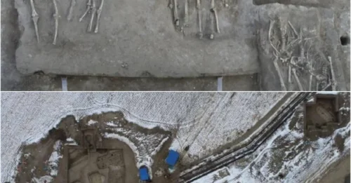 The Neolithic China witnessed the most devastating headhunting massacre of women and children – The Shocking Ancient Tragedy That Archaeologists Only Recently Began to Understand