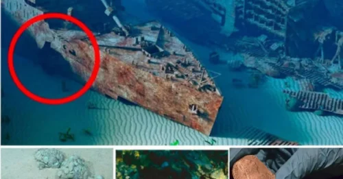 The huge treasure of 17 tons of gold and 600,000 coins recovered from a sunken Spanish galleon will be returned to Spain