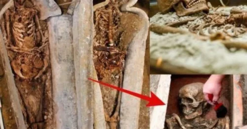 Archaeologists STUNNED by Grisly Discovery in Notre Dame: Nobleman's Skull Was 