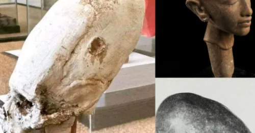What Archaeologists JUST Found in Peru's Elongated Skulls Changes EVERYTHING We Know About Ancient Civilizations!