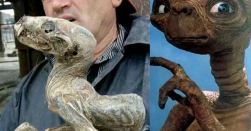 Miners in Siberia Were SHOCKED When They Unearthed This Strange Creature—It's NOT from This World!