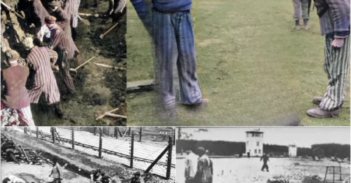 How SS Soldiers TORTURED Prisoners with the 