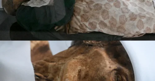 Bizarre Discovery in Colombia: Dead Bodies Are NOT Decomposing and Scientists Can't Find a Single Clue Why.