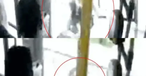 TERROR EN EL AUTOBÚS! Momento trágico: una madre de dos hijos, de 26 años, muere al caerse de un autobús en movimiento cuando la ventana cede mientras ella se apoya en ella.