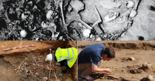 HORROR PIT! Grim mass grave with 77 bodies stacked in death pit found after 2,800 years alongside eerie ‘animal offerings’