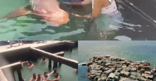 SHARK HORROR! Boy, 14, nearly loses his hand in brutal shark attack at notorious backstreet aquarium where tourists SWIM with beasts