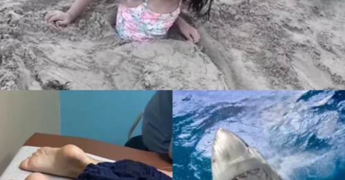 VACATION NIGHTMARE! Girl, 8, is mauled by shark while playing in shallow water feet from beach as she screamed to family for help