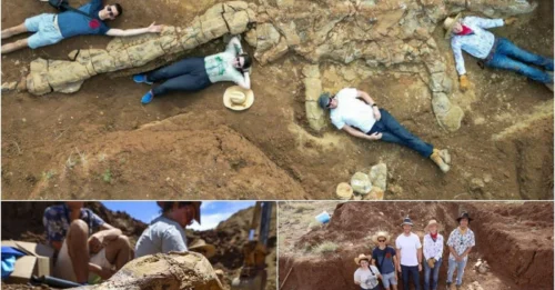 MASSIVE Discovery! 100-Million-Year-Old 'Dinosaur Rosetta Stone' Found in Australia—Fossil Hunters Say It's the Find of the CENTURY!