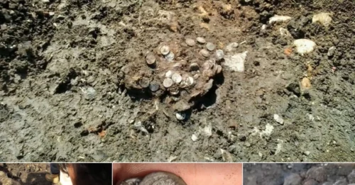 The Luckiest Man Alive! Metal Detectorist STUNNED After Unearthing a £200,000 Hoard of Roman Gold in a Farmer's Field