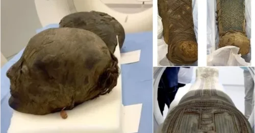 Was She ALIVE When Embalmed? The Puzzling Face of a 3,500-Year-Old Egyptian Queen Sparks FRIGHTENING New Theories.