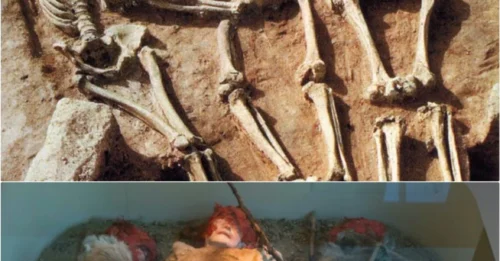 They Were Buried ALIVE? Scientists Reveal the HORRIFYING Truth Behind the Dolní Věstonice Triple Grave.