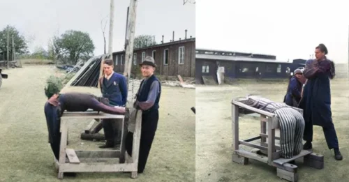How SS Soldiers Treated Prisoners with the “GOAT of Auschwitz”: The DISTURBING Design and Use of the Auschwitz “Goat” That Made It One of the MOST WIDELY USED AND HUMILIATING Methods in World War II — The Hidden Details Few Ever Discuss 7