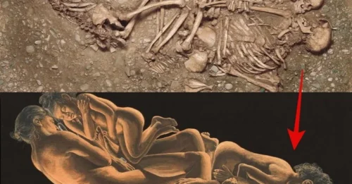 Ancient DNA Finally Exposes the TRUTH Behind a 4,600-Year-Old Stone Age Burial—What This Nuclear Family Reveals Is SHOCKING!