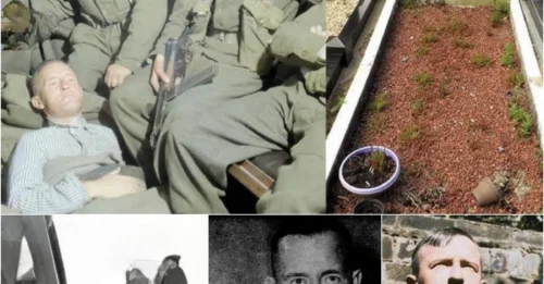 OPENING THE GRAVE OF BRITAIN'S MOST HATED TRAITOR: The 30-Year HORRIFYING Journey of Lord Haw Haw's Corpse — William Joyce Executed by Albert Pierrepoint