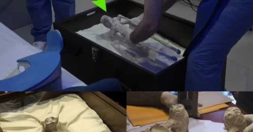 STOP THE PRESS: Researcher Bombshell – Dead Alien Bodies in Mexico Are 100% Genuine, Boast Eerily Human-Like Features!