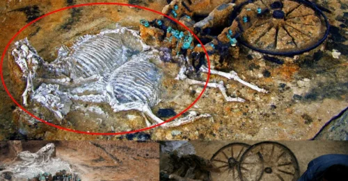 SHOCKING Find in Bulgarian Village: 2,000-Year-Old Chariot Covered in Silver Reveals the Dark Secrets of Thracian Mythology!