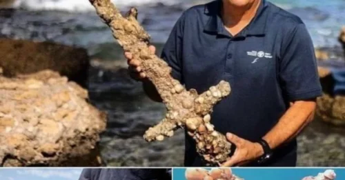 900,000-Year-Old Sword Found at the Bottom of the Sea – Experts 