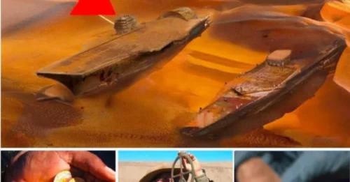 They Were Just Digging… Until They FOUND a 500-Year-Old Shipwreck BURIED Underground—The GOLD and Coins Inside Are BEYOND BELIEF!