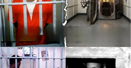The HORRIFYING Final 24 Hours of Edward Earl Johnson, Still Maintaining His Innocence: The Execution That Was Filmed for a Rare Documentary in American Criminal History
