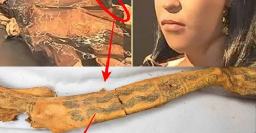She Was a Powerful Leader, Then She Vanished – 1,700 Years Later, Her TATTOOED Skin Stuns the World: The Remarkable Lady of Cao Revealed!