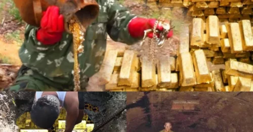 They Just Dug Up a Sleeping Monster in the Jungle—And What They Unleashed is a $20 Billion Nightmare No One Saw Coming!