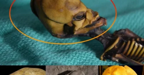 WORLD IN UPROAR! Tiny Remains Suspected to Be ALIEN Found in Chile – Experts CLASH in Heated Debate!
