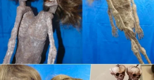 The 'Two-Headed Monster' Discovery That Has Scientists PANICKING: 'This Should NOT Exist,' They Say!