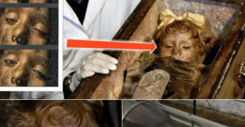BLINK. That's What a 3,000,000-Year-OLD MUMMY Just Did. Rosalia Lombardo's Eyes Are NOT a Myth.
