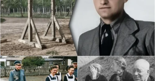 The NAZI 