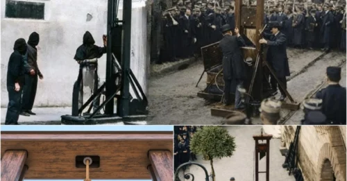 4 DARK Reasons Why Thousands Were Beheaded Face Down: The HORRIFYING Science Behind the Guillotine's Position — Why Executioners HATED a Face-Up Victim