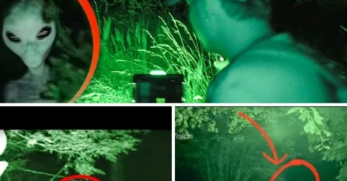 Aliens DON'T Hide at Night?! Crew CAPTURED the UNTHINKABLE at 3 AM in the Forest – You Won’t Believe Your Eyes!