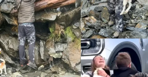 LOYAL PUP: Incredible moment lost dog is rescued by helicopter after waiting ONE WEEK at spot where owner fell down waterfall