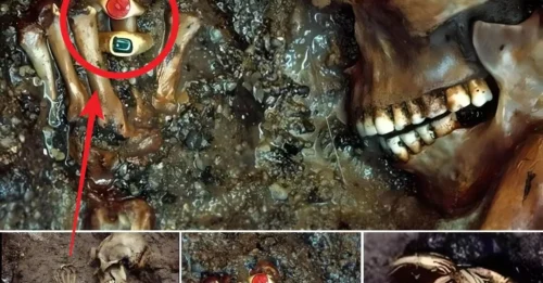 SHOCKING Discovery: 2,000-Year-Old Jade Rings and a Dagger Found Hidden in the Ground – The Astonishing Value Left Historians Speechless!