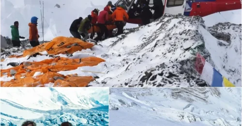THE GRUESOME TRUTH: Nepal Police Charge 32 People Linked to Scheme That POISONED Over 4,700 Everest Climbers to Stage Fake Rescues in Order to STEAL MILLIONS