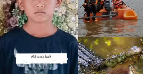 CROC ATTACK! Boy, 13, mauled to death by crocodile as he played football with friends who watched on in horror as beast attacked